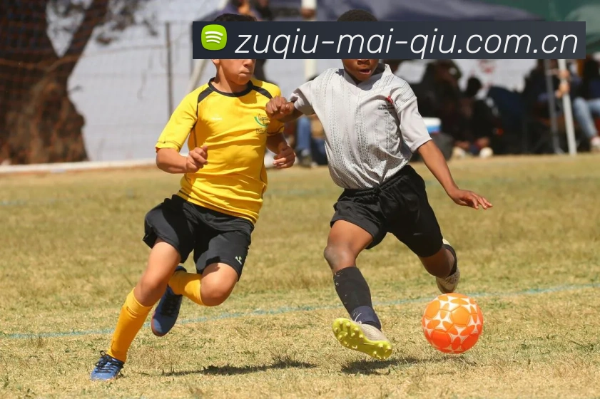 赛事专题整合